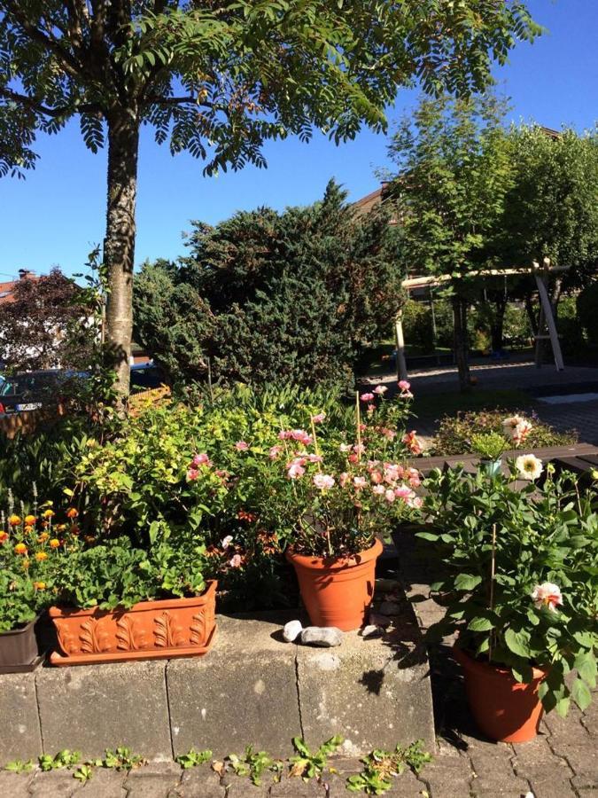 Silberdistel Sonthofen Appartement Buitenkant foto